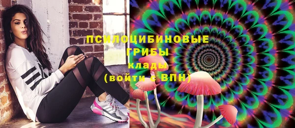 гашик Кинешма