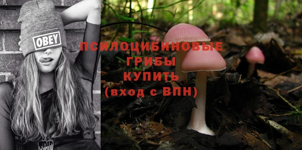 ALPHA-PVP Киреевск