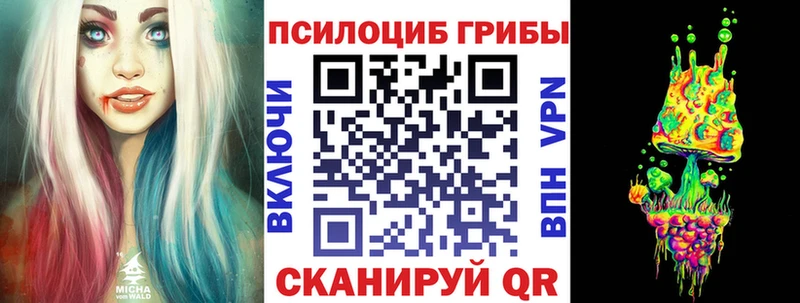 Купить  Гуково  Псилоцибиновые грибы Psilocybe 